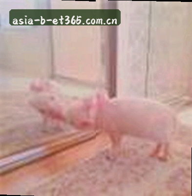 陈静